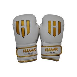 دستکش بوکس مدل ‌HAWK B-92