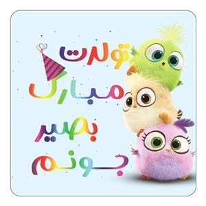 مگنت کاکتی طرح تولد بصیر مدل پرندگان خشمگین Angry Birds کد mg57072