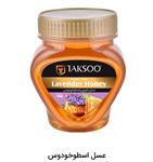 عسل اسطوخودوس 500 گرم Taksoo 