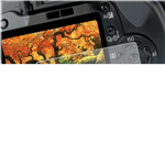 محافظ صفحه نمایش طلقی دوربین ریمکس مناسب برای نیکون D7200/D7100