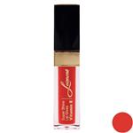 Losment Supper Shine Lipgloss with Argan Oil L561