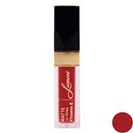 Losment Matt Long Lasting Lip Gloss with Argan Oil L507