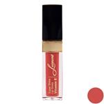 Losment Supper Shine Lipgloss with Argan Oil L556