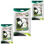 بذر گل لاله عباسی سفید گلبرگ پامچال کد GPF-267 مجموعه 3 عددی