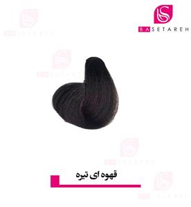 رنگ مو ایتالی رژ 120 ml شماره 3.0 قهوای تیره 