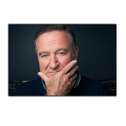 تابلو شاسی بکلیت طرح بازیگر رابین ویلیامز مدل SH-S3921