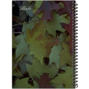 دفتر طراحی 100 برگ انتشارات بله مدل کاغذ ضخیم طرح عکاسی جنگل پاییزی کد TK282