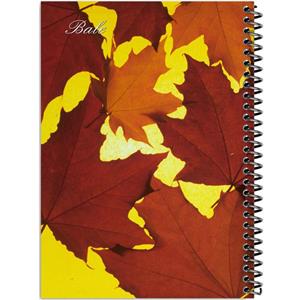 دفتر طراحی 100 برگ انتشارات بله مدل کاغذ ضخیم طرح عکاسی جنگل پاییزی کد TK283