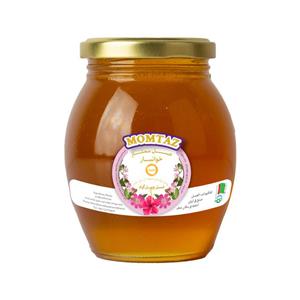 عسل چهل گیاه ممتاز خوانسار - 450 گرم