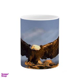 ماگ کاکتی مدل عقاب کد mgh10909