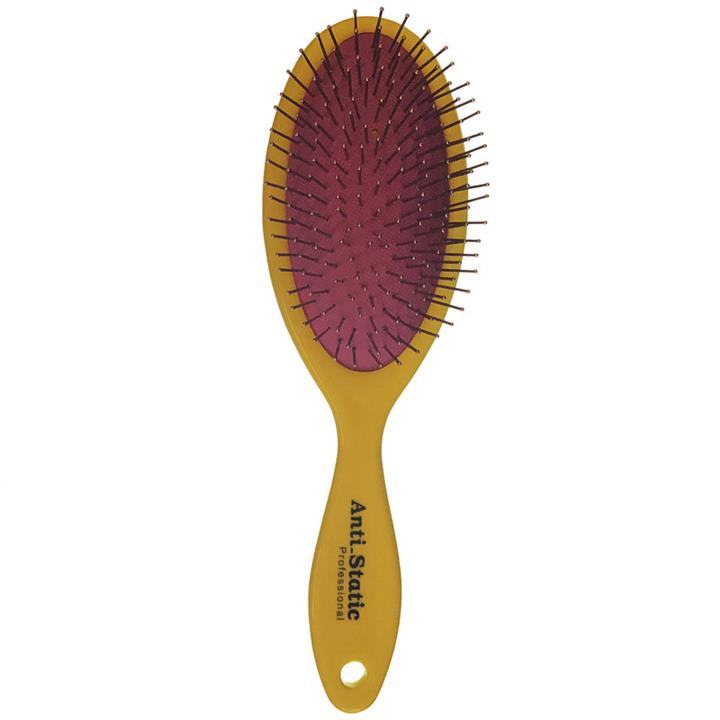 برس مو مدل Anti-Static Professional
