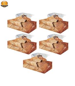 دستمال کاغذی 150 برگ گلریز مدل Wood بسته 5 عددی