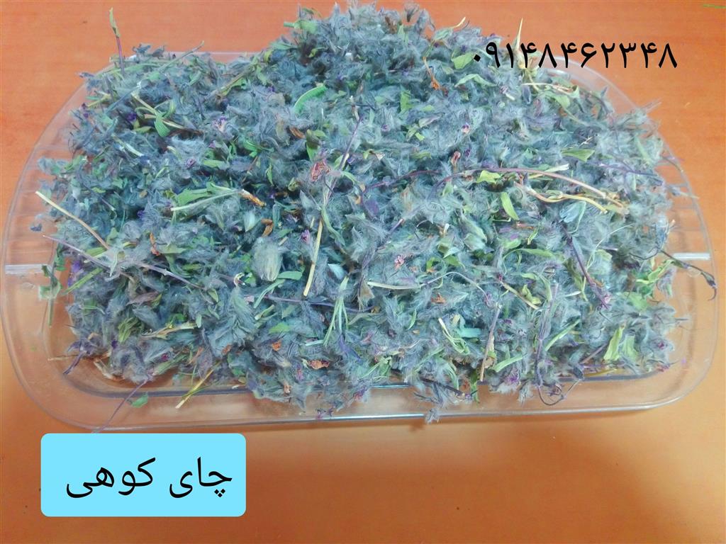 چای کوهی فله ای
