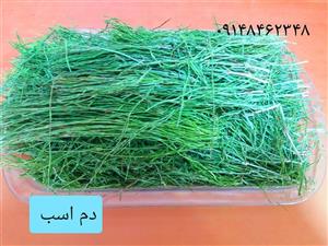 دم اسب  _ ۱۵۰گرم
