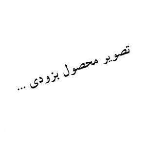 شیر ظرفشویی راسان مدل دینو شیری کروم