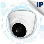 دوربین مداربسته تحت شبکه دام 5 مگاپیکسل مدل IPVR-P312