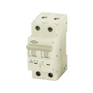 فیوز مینیاتوری تکفاز و نول ۴۰ آمپر الکترو کاوه