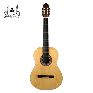 گیتار آگرین طرح 3