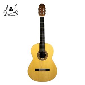 گیتار آگرین طرح 2