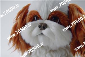 عکس با کیفیت سگ  ملوس