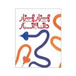 کتاب هزار هزار دانه انار اثر احمد اکبر پور انتشارات طوطی