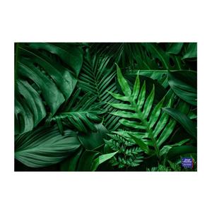 تخته گوشت مدل شیشه ای LEAF