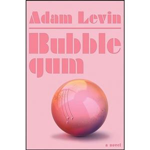 کتاب Bubblegum اثر Adam Levin انتشارات Doubleday