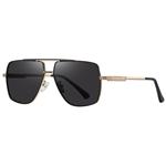 عینک آفتابی مردانه آلبرت وگ مدل JS8550C218-P267 Polarized Avantgarde Visionary