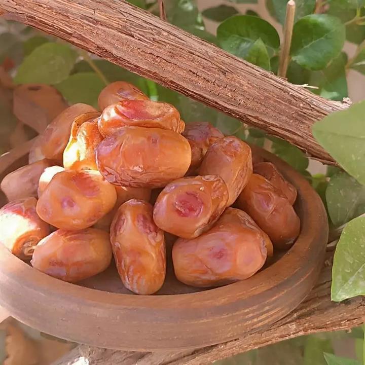خرما زاهدی فله