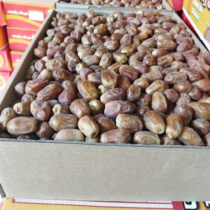 خرما زاهدی فله
