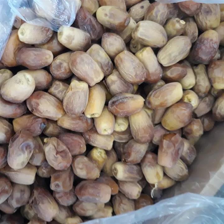 خرما زاهدی فله