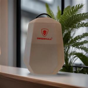 کیف حمل کنسول بازی پلی استیشن 5 مدل DeadSkull