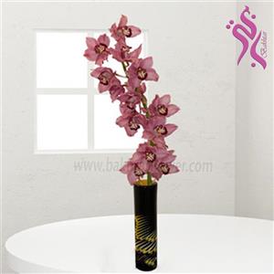گل ارکیده سیمبیدیوم صورتیbakhtar-160 