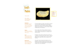 باکتری_پاندورا 🔬 نسخه کامل ✅