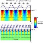 New Signal Designs for Enhanced Spatial Modulation