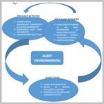 EFFECTS OF ENVIRONMENTAL AUDIT AND ECONOMIC SUSTAINABILITY ON PROFIT MEASURES OF QUOTED CEMENT COMPANIES IN NIGERIA