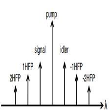 Asymmetric gain-saturated spectrum in fiber optical parametric amplifiers