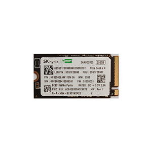 اس اس دی اینترنال SK Hynix BC901 256GB SSD M.2 NVMe Pyrite 2242 PCIe Gen 4*4 ظرفیت 256 گیگابایت پایه کوتاه