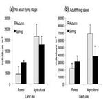 Species traits reveal eﬀects of land use, season and habitat on the potential subsidy of stream invertebrates to terrestrial food webs