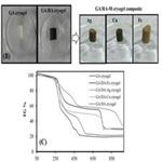 Humic acid particle embedded super porous gum Arabic cryogel network for versatile use