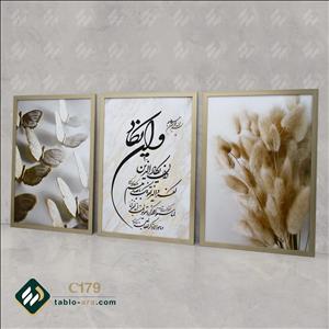 مجموعه تابلو دکوراتیو سه عددی کد C179