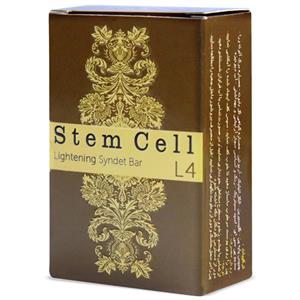 پن روشن کننده و ضد لک صورت استم سل مدل Lightening وزن 100 گرم Stem Cell Lightening Syndet Bar 100gr