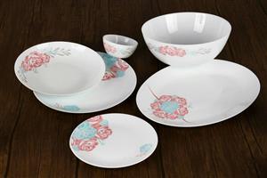 سرویس غذاخوری 26 پارچه گرد فرانسوا آرکوپال گل آرایی رزیتا فیروزه