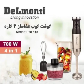 گوشتکوب برقی دلمونتی مدل DL 110