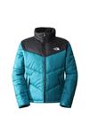 کاپشن نورث فیس مردانه The North Face NF0A2VEZN2W91 