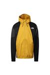 کاپشن نورث فیس مردانه The North Face NF0A493ENH9D1 