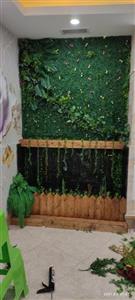 گرین وال استوایی مدل آیلی کد 1221