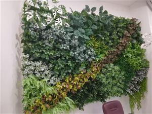 گرین وال استوایی مدل آنیل کد 1101