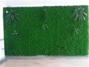 گرین وال استوایی مدل آیدا کد 1181