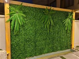 گرین وال استوایی مدل آیدا کد 1182